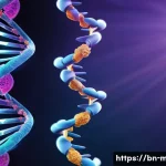 DNA 복구 기전 - A detailed scientific illustration of DNA damage types inside a human cell, showing ultraviolet rays...